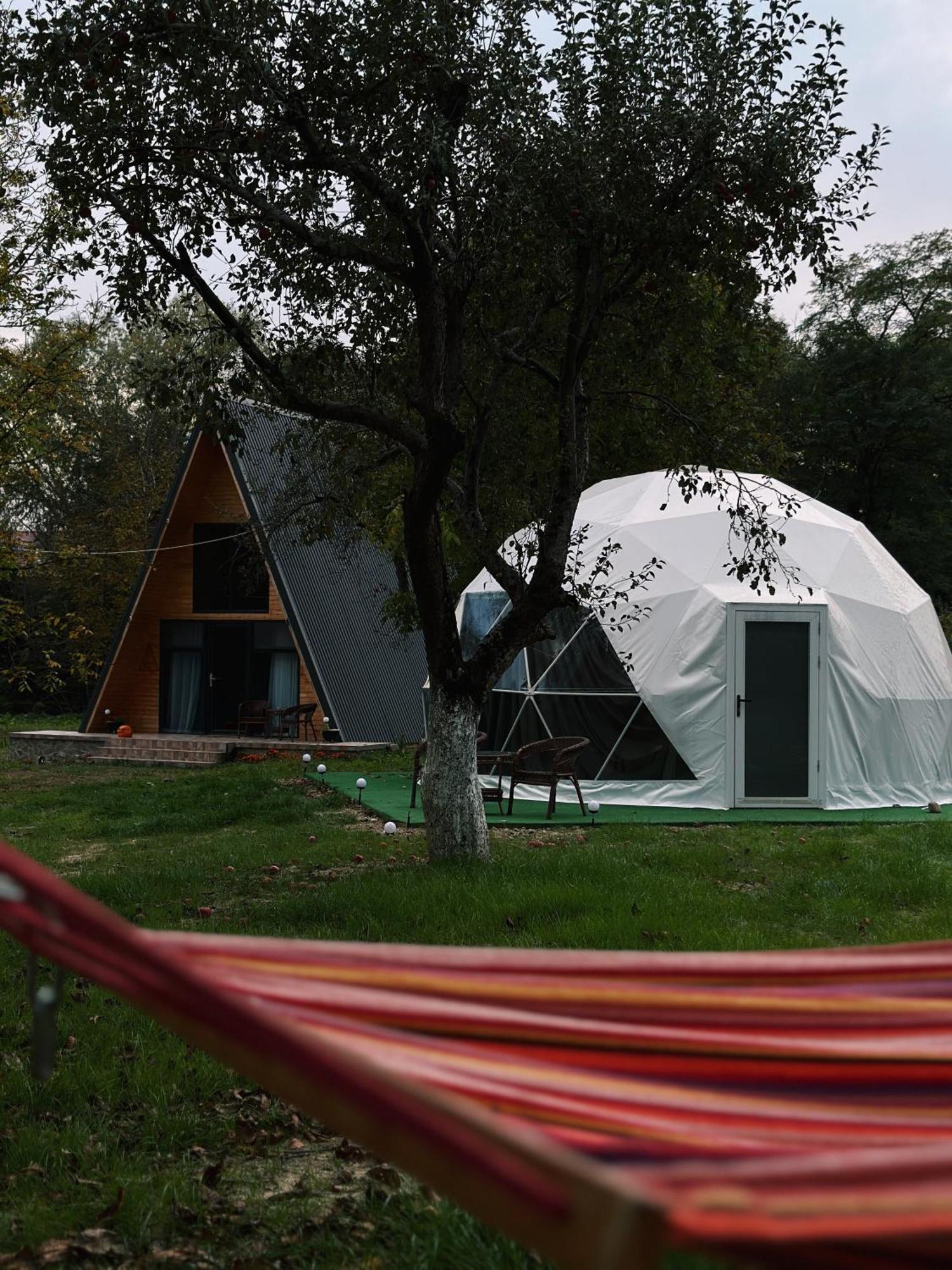 The Frog Glamping Horezu Exterior foto