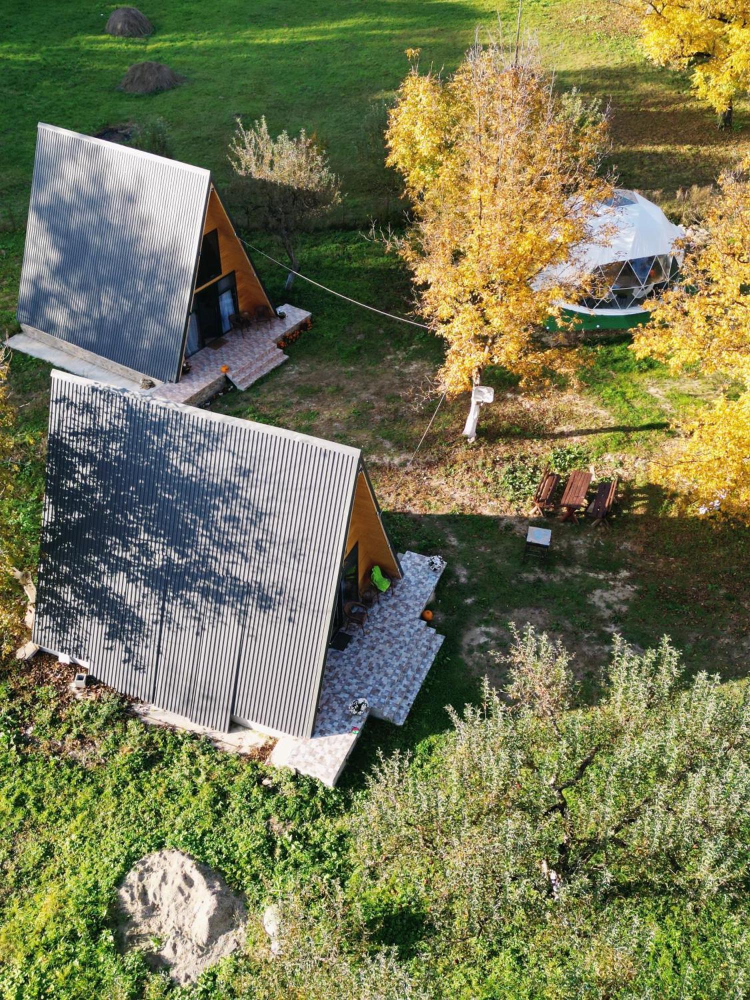 The Frog Glamping Horezu Exterior foto