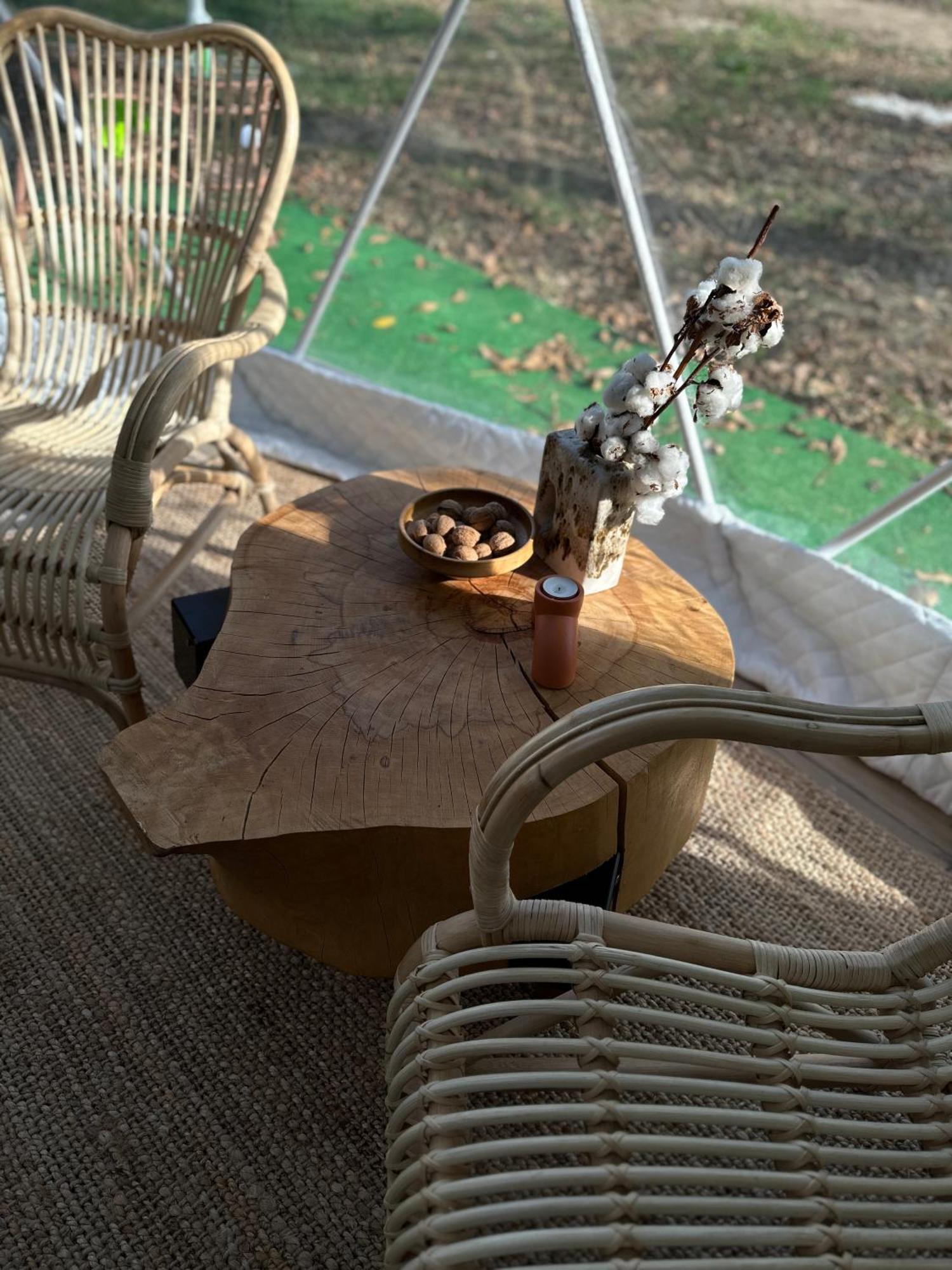 The Frog Glamping Horezu Exterior foto