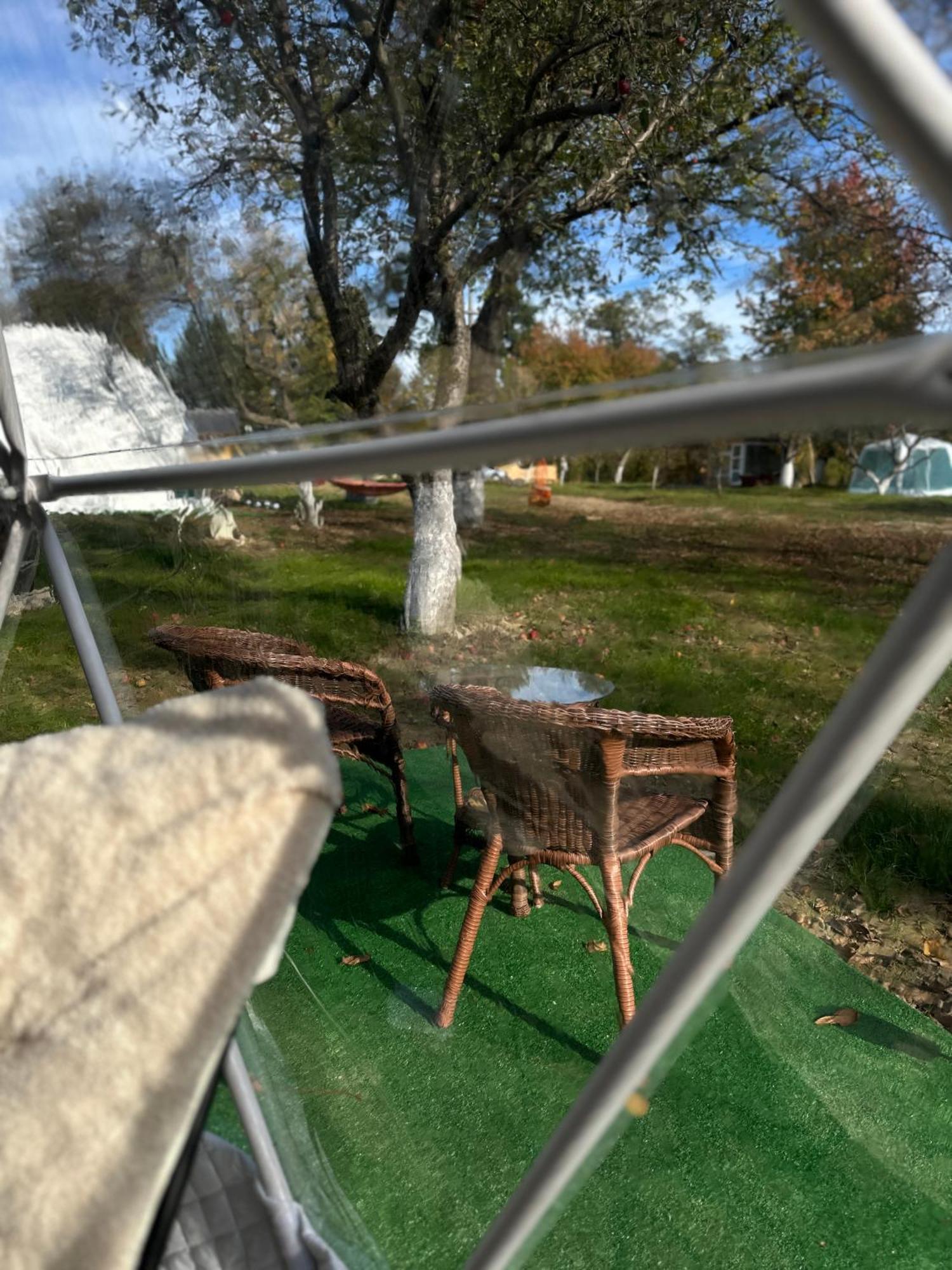 The Frog Glamping Horezu Exterior foto