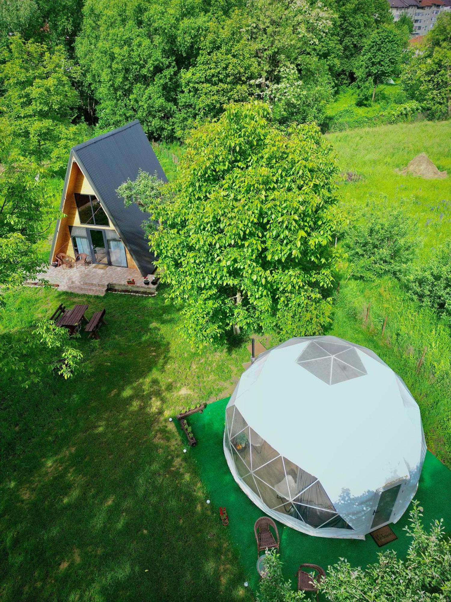 The Frog Glamping Horezu Exterior foto