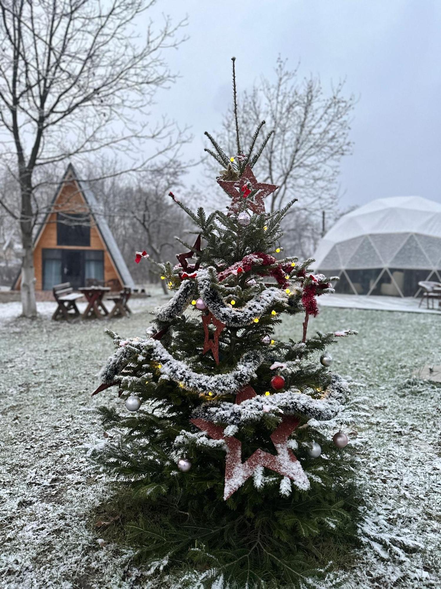 The Frog Glamping Horezu Exterior foto