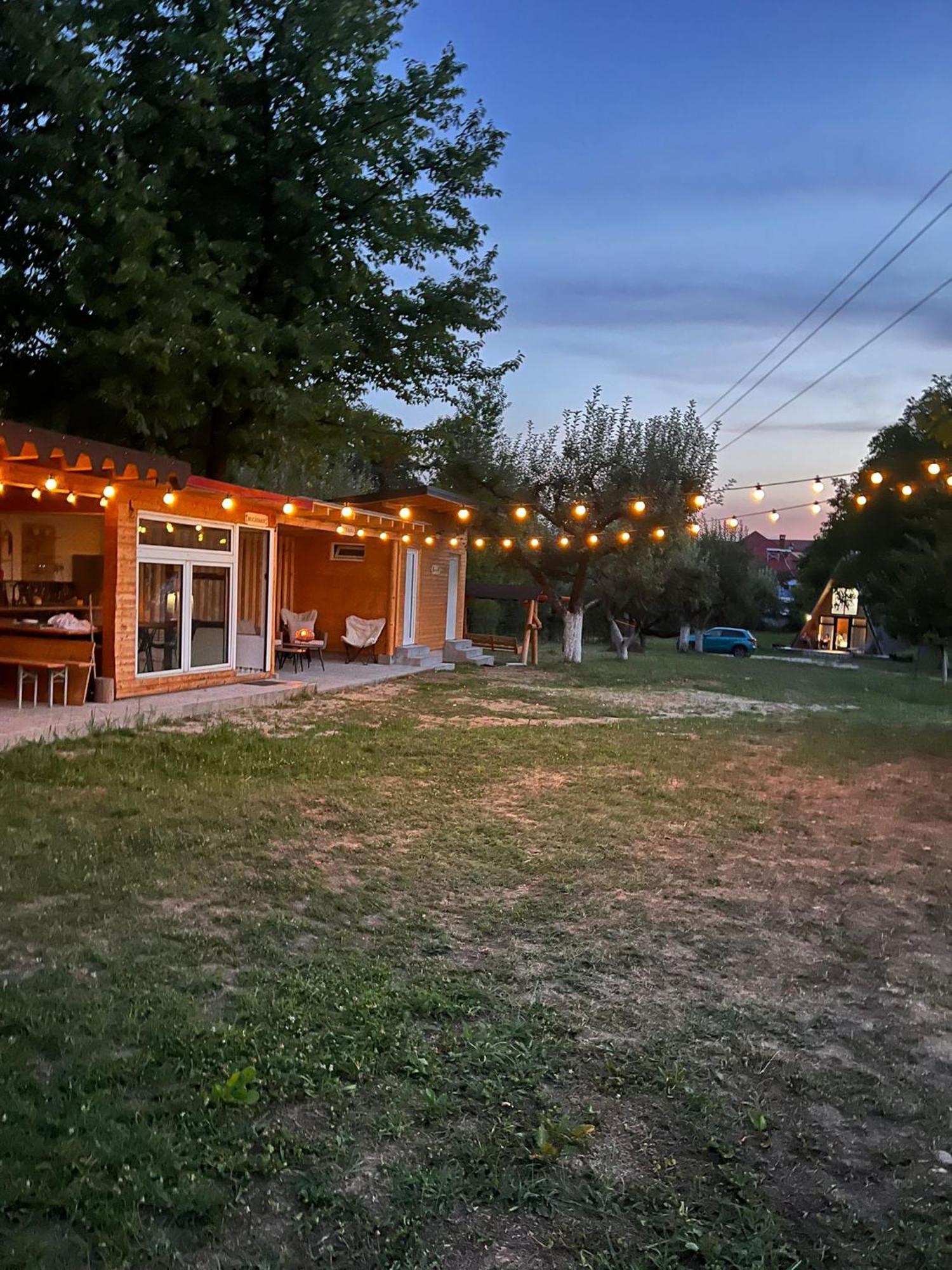 The Frog Glamping Horezu Exterior foto