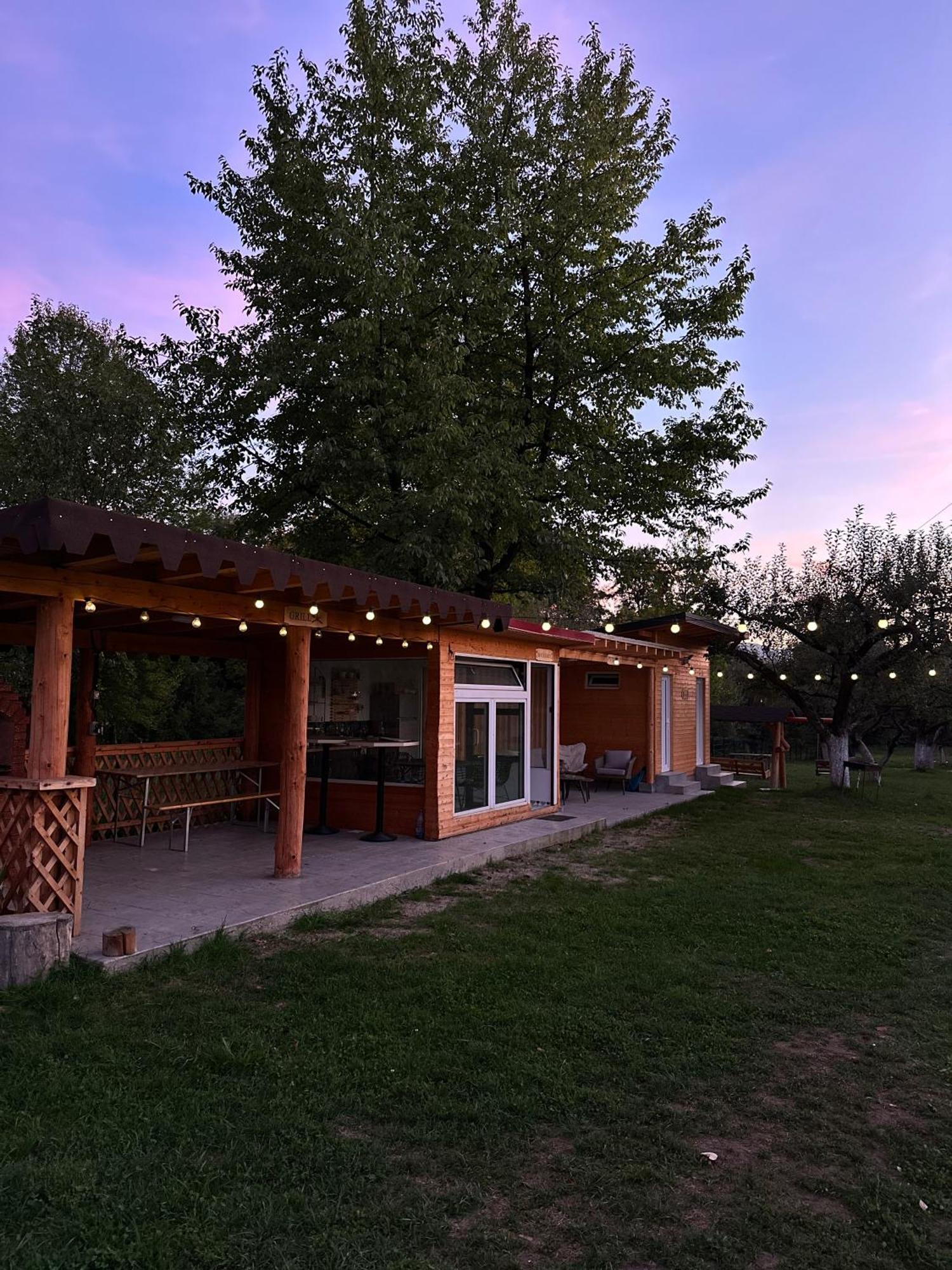 The Frog Glamping Horezu Exterior foto