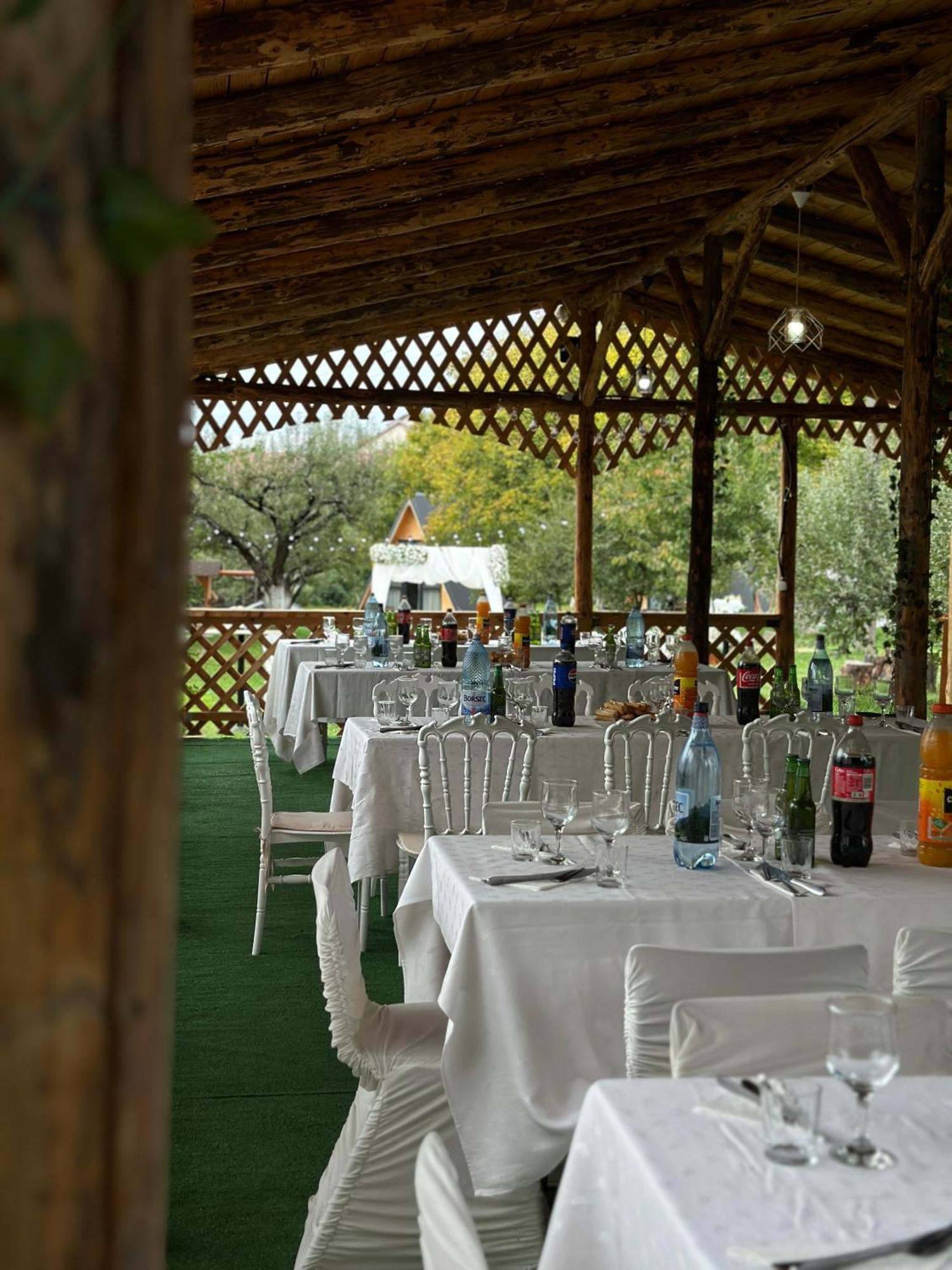 The Frog Glamping Horezu Exterior foto